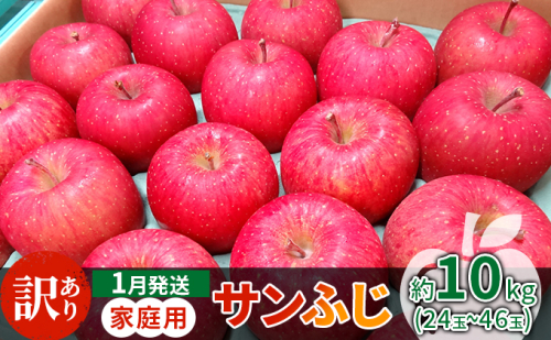 1月発送 家庭用 サンふじ 約10kg【訳あり】【原正りんご 青森県産 津軽産 リンゴ 林檎】 468860 - 青森県鶴田町