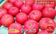 5～6月   CA貯蔵 丸徳 サンふじ 約5kg【青森りんご・原正アップル・5月・6月】