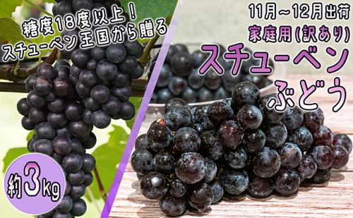 11～12月 津軽ぶどう村  家庭用 スチューベン ぶどう約3kg 秀～秀A【訳あり】【青森ぶどう 鶴田町産 11月 12月】 468879 - 青森県鶴田町