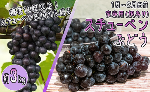 1～2月 津軽ぶどう村  家庭用 スチューベン ぶどう 約3kg・秀～秀A【訳あり】【青森ぶどう 鶴田町産 1月 2月】 468881 - 青森県鶴田町