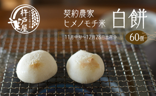 白餅 60個（1袋10個入り保存料無添加 真空パック）杵戸屋 きねとや（2025年11月中旬～12月28日出荷分） 年末 冬 ヒメノモチ米 契約農家 手作り 焼き餅 お雑煮 ぜんざい 鍋物  469015 - 岡山県赤磐市