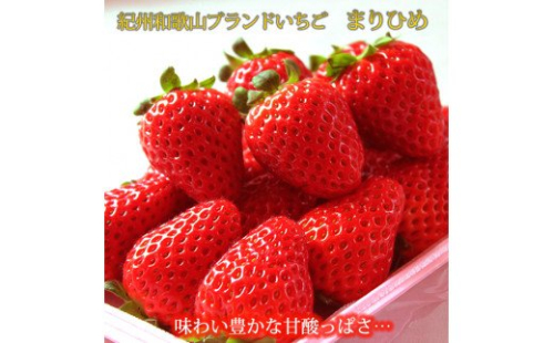 【来シーズン先行予約】紀州和歌山ブランドいちご「まりひめ」約２５０ｇ×４Ｐ※2026年1月上旬頃～2026年3月上旬頃順次発送（お届け日指定不可）【uot758A】 469247 - 和歌山県北山村