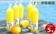 伊藤農園 100％ピュアジュース　はっさくしぼり 大瓶5本セット(A607-1)