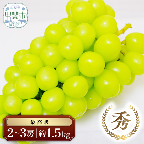 【2026年分発送】 最高級 シャインマスカット 2～3房 約1.5kg 先行予約 山梨県産 産地直送 フルーツ 果物 くだもの ぶどう ブドウ 葡萄 シャイン シャインマスカット 新鮮 人気 おすすめ 国産 贈答 ギフト お取り寄せ 山梨 甲斐市 AN-11