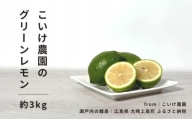 [9〜11月発送] こいけ農園のグリーンレモン 約3kg
