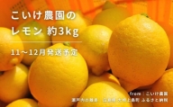 [11〜12月発送] こいけ農園のレモン 約3kg