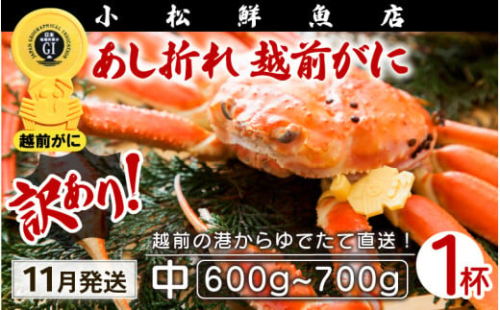 【訳あり】越前がに本場の越前町からお届け！足折れ 越前がに 浜茹で 中サイズ（生で600～700g） × 1杯【かに カニ 蟹】【福井県 越前町 雄 ズワイガニ ボイル 冷蔵 越前ガニ 越前かに 越前カニ ずわいがに ずわい蟹 かに カニ 蟹】【11月発送分】希望日指定可 備考欄に希望日をご記入ください [e23-x001_11] 469514 - 福井県越前町