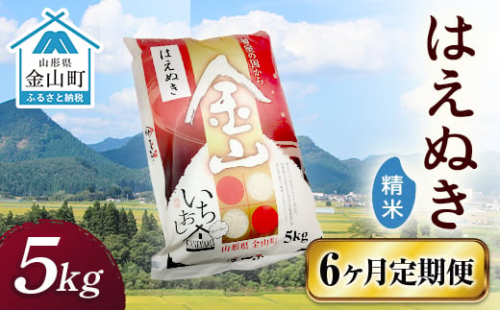 【2022年産新米】金山産米「はえぬき【精米】」(5kg)×6ヶ月・定期便 計30kg 定期便 6ヶ月 米 お米 白米 ご飯 精米 ブランド米 はえぬき 送料無料 東北 山形 金山町 F4B-0254 469534 - 山形県金山町