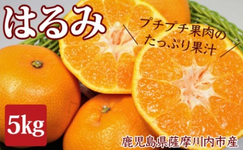 A-058 はるみ 5kg みかん [季節限定] 1月中旬より順次お届け 鹿児島県産 柑橘類 柑橘