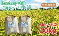 ＜令和４年＞新米 Pinofarmのお米　特別栽培米コシヒカリ 10kg