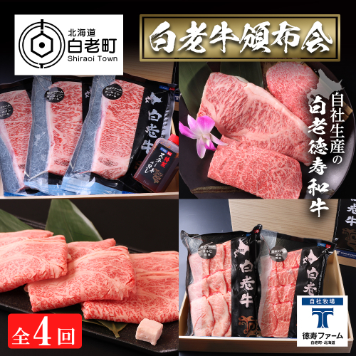 定期便 全4回 白老牛 お楽しみ 頒布会 ＜白老徳寿＞ 469887 - 北海道白老町