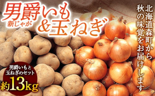 【先行予約】【新じゃが】 男爵（約8kg）＆玉ねぎ（約5kg）セット 計13kg （2023年8月下旬～順次お届け） 野菜 ジャガイモ じゃがいも ポテト たまねぎ タマネギ 玉葱 北海道 F4C-0298 469965 - 北海道森町