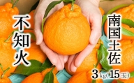柑橘・みかん しらぬい(不知火)3kg 15玉サイズ