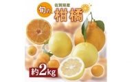 佐賀の旬の柑橘をお届け 佐賀産かんきつ2kg B396
