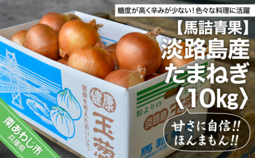 【淡路島の青果屋】淡路島産たまねぎ　10kg 甘さに自信!!ほんまもん!!