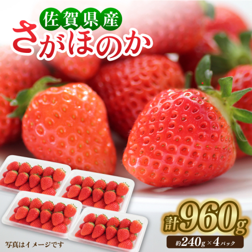 【1月中旬〜3月中旬発送】みずみずしい果肉！さがほのかレギュラーパック4P 240g×4 いちご イチゴ 苺 フルーツ 果物 佐賀 吉野ヶ里町/リエンサーク [FCC001] 470584 - 佐賀県吉野ヶ里町