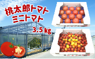 蘇鉄園芸のトマト三昧 (ミニトマト2kg + 桃太郎トマト14個)