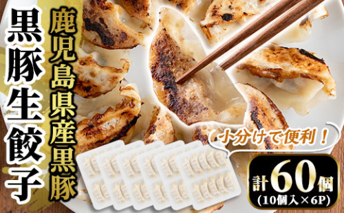 A3-008 国産！鹿児島県産黒豚餃子60個(10個入×6P)【肉の豊楽】 471287 - 鹿児島県霧島市