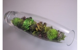 【ふるさと納税】【空気をキレイにする】ガラスの中の植物 アートフラワー インテリア（小）