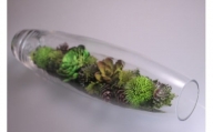 【空気をキレイにする】ガラスの中の植物 アートフラワー インテリア（小）