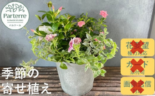  5月12日着【母の日用】花屋が贈る季節の寄せ植え鉢※5/6までの決済が必要です
