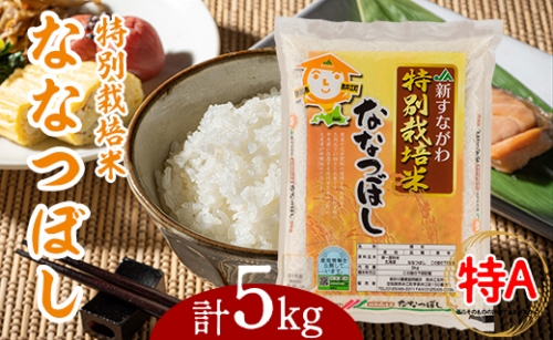 [A05]特別栽培米ななつぼし5kg 472388 - 北海道奈井江町