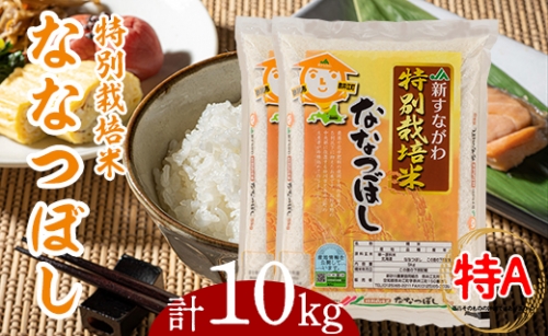 [A06]特別栽培米ななつぼし10kg（5kg×2袋）