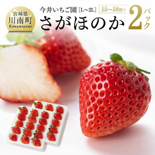 【令和8年発送】宮崎県産いちご　さがほのかL～2L（15～18粒入）×2パック 【 国産 イチゴ 苺 くだもの 果物 期間限定 数量限定 】 472401 - 宮崎県川南町