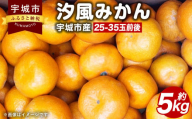 宇城市産 汐風みかん 約5kg[のむちゃん農園][11月上旬から2025年1月下旬発送予定]みかん オレンジ 果物 フルーツ 熊本県