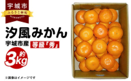 宇城市産 汐風みかん 等級「秀」約3kg [のむちゃん農園][11月上旬から2025年1月下旬発送予定]みかん オレンジ 果物 フルーツ 熊本県