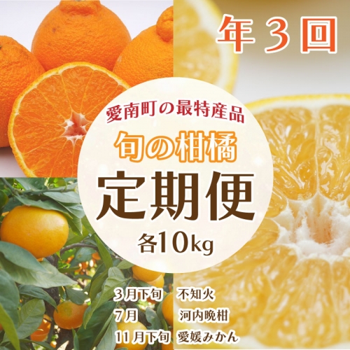 吉田農園の旬の柑橘定期便10kg 3回 472715 - 愛媛県愛南町