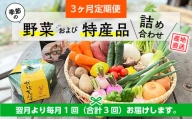 【3ヶ月定期便】季節の野菜及び特産品詰め合わせ