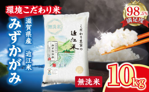 【7年産】近江米 環境こだわり米 みずかがみ 無洗米 【10kg×1】【BN02W2】 47301 - 滋賀県近江八幡市