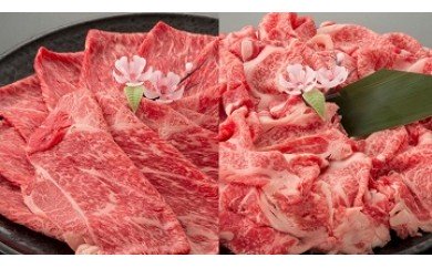 近江牛二種セット【1kg（赤身スライス500ｇ、切り落とし500ｇ）】【AC13W】 47331 - 滋賀県近江八幡市