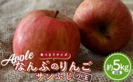 なんぶのりんご 食べきりサイズ サンふじ 小玉 約５kg(20～30玉) 《馬場果樹園》 リンゴ りんご 林檎 青森県 南部町 果物 くだもの F21U-233
