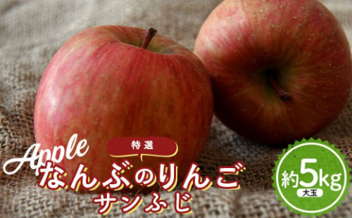 なんぶのりんご サンふじ 特選(大玉) 約5kg(14~16玉) 《馬場果樹園》 リンゴ 林檎 青森県 南部町 果物 くだもの フルーツ F21U-235 473458 - 青森県南部町