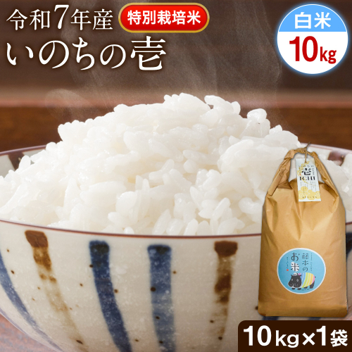 令和7年産 特別栽培米 いのちの壱(白米) 10kg(10kg×1袋) 雑穀米付き《60日以内に出荷予定(土日祝除く)》 熊本県 南阿蘇村 熊本県産 虹色のかば 白米 雑穀米 473465 - 熊本県南阿蘇村