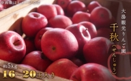 【10月中旬発送開始】鹿角産 りんご「千秋」贈答用 約5kg（16〜20玉入）【大湯観光りんご園】