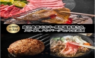 【全3回】鹿児島黒毛和牛・黒豚堪能焼き肉、スライス、ハンバーグセット定期便 084-16