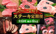 【全6回定期便】極上 壱岐牛 A5ランク ステーキ定期便《壱岐市》【KRAZY MEAT】[JER050] ステーキ 赤身 厚切り 牛肉 肉 A5 サーロイン サーロインステーキ ヒレ ヒレステーキ 314000 314000円