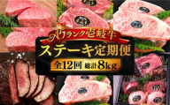 【全12回定期便】極上 壱岐牛 A5ランク ステーキ定期便《壱岐市》【KRAZY MEAT】[JER051]  ステーキ 赤身 厚切り 牛肉 肉 A5 サーロイン サーロインステーキ ヒレ ヒレステーキ 628000 628000円