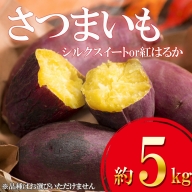 さつまいも 5kg 熊本県産 シルクスイート or 紅はるか  | 熊本県 熊本 くまもと 和水町 なごみ サツマイモ 甘藷 芋 唐芋 からいも