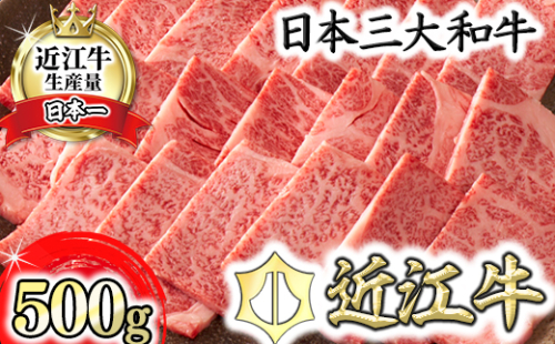 【4等級以上】【カネ吉山本】近江牛[選] 焼肉用 リブロース【500ｇ】【Y088W】 47422 - 滋賀県近江八幡市