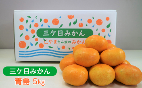 【2024年12月下旬より順次発送】三ヶ日みかん プレミアム（青島5kg）光センサー選果 474254 - 静岡県浜松市