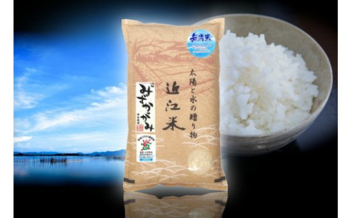 【令和元年産】滋賀県産 環境こだわり栽培米みずかがみ無洗米6回コース定期便【10kg×6回】【BN05U】 47433 - 滋賀県近江八幡市