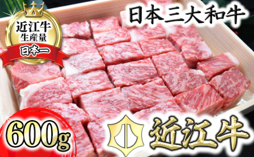 【4等級以上】近江牛サーロインステーキ【600g】 角切り【H015W】 47452 - 滋賀県近江八幡市