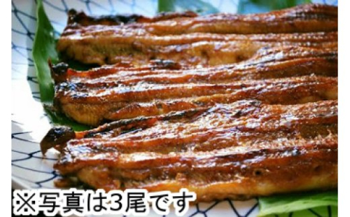 【一度食べたらやみつき！リピート多数 】うなぎ蒲焼4尾セット【D010U】 47466 - 滋賀県近江八幡市