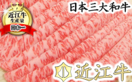 近江牛しゃぶしゃぶ用【450ｇ】【N005W】