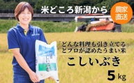 プロが認めたうまい米『こしいぶき』5㎏ 新潟県糸魚川産 農家直送 おいしいお米をお届けします 令和5年産 【お米 こめ おすすめ】