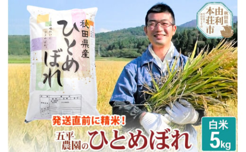 米 5kg 【白米】 特A ひとめぼれ 令和4年産 秋田県産 五平農園のひとめぼれ 5kg 475335 - 秋田県由利本荘市